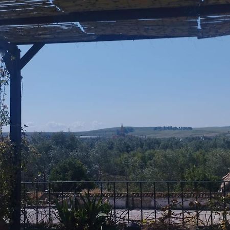 My Small Penthouse With Views.Tourism & Tranquility & Sun Daire Córdoba Dış mekan fotoğraf